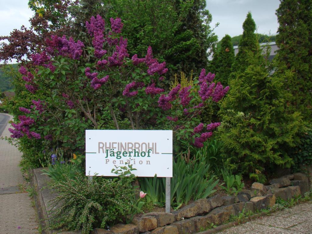 Pension Jägerhof Rheinbrohl Exterior foto